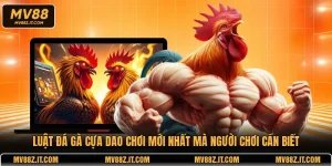 Luật Đá Gà Cựa Dao Chơi Mới Nhất Mà Người Chơi Cần Biết