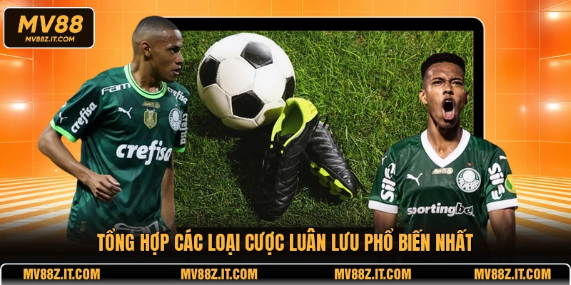 Tổng hợp các loại cược luân lưu phổ biến nhất